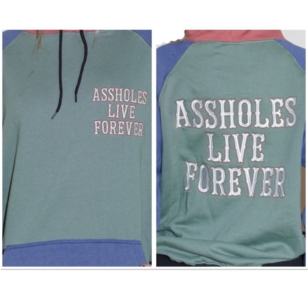 Linda Finegold Assholes Live Forever multicolor colorblock unisex hoodie
